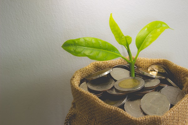 Wealth Management: Tips and Strategies to Help Grow Your Portfolio