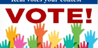 What Are IP Votes?Do We Offer Them
