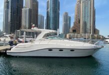Why Are Yachts Popular In Dubai Marina