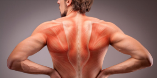 What To Do if You Have Back Pain After a Car Accident